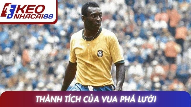 Thành tích của vua phá lưới