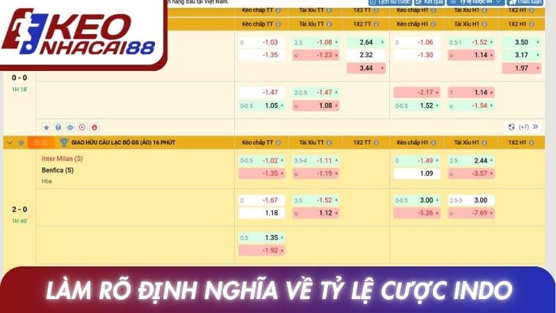 Làm rõ định nghĩa về tỷ lệ cược indo