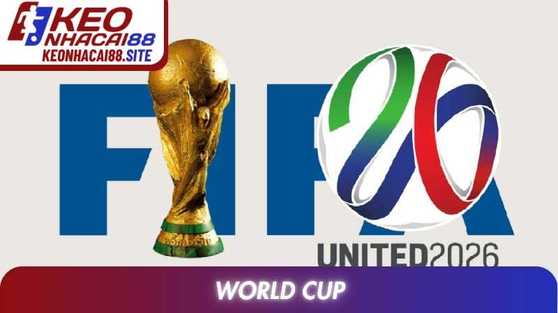 World Cup: Toàn Cảnh Lịch Sử Và Sức Hút Của Giải Đấu