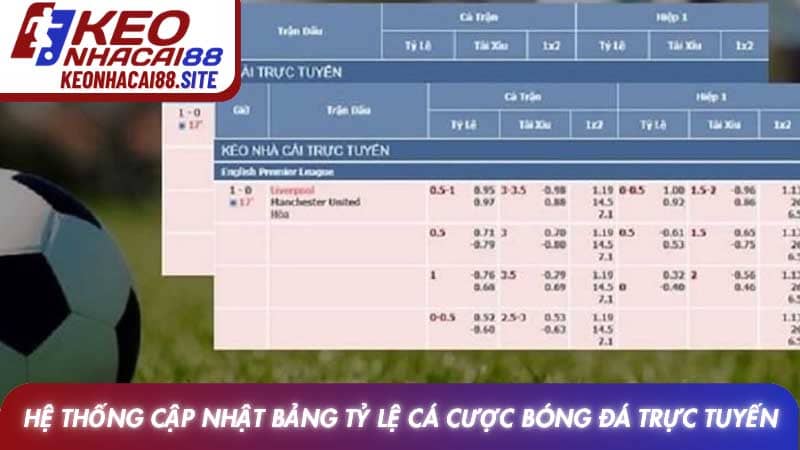 Hệ thống cập nhật bảng tỷ lệ cá cược bóng đá trực tuyến
