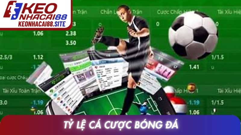 Tỷ Lệ Cá Cược Bóng Đá - Bí Quyết Chọn Cửa Sáng